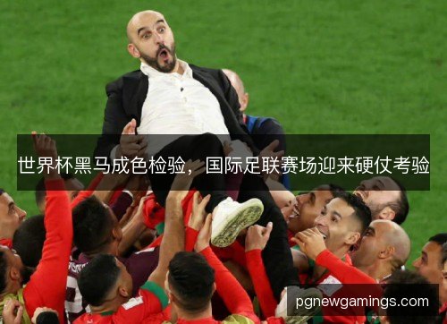 世界杯黑马成色检验,国际足联赛场迎来硬仗考验 世界杯黑马成色检验,国际足联赛场迎来硬仗考验
